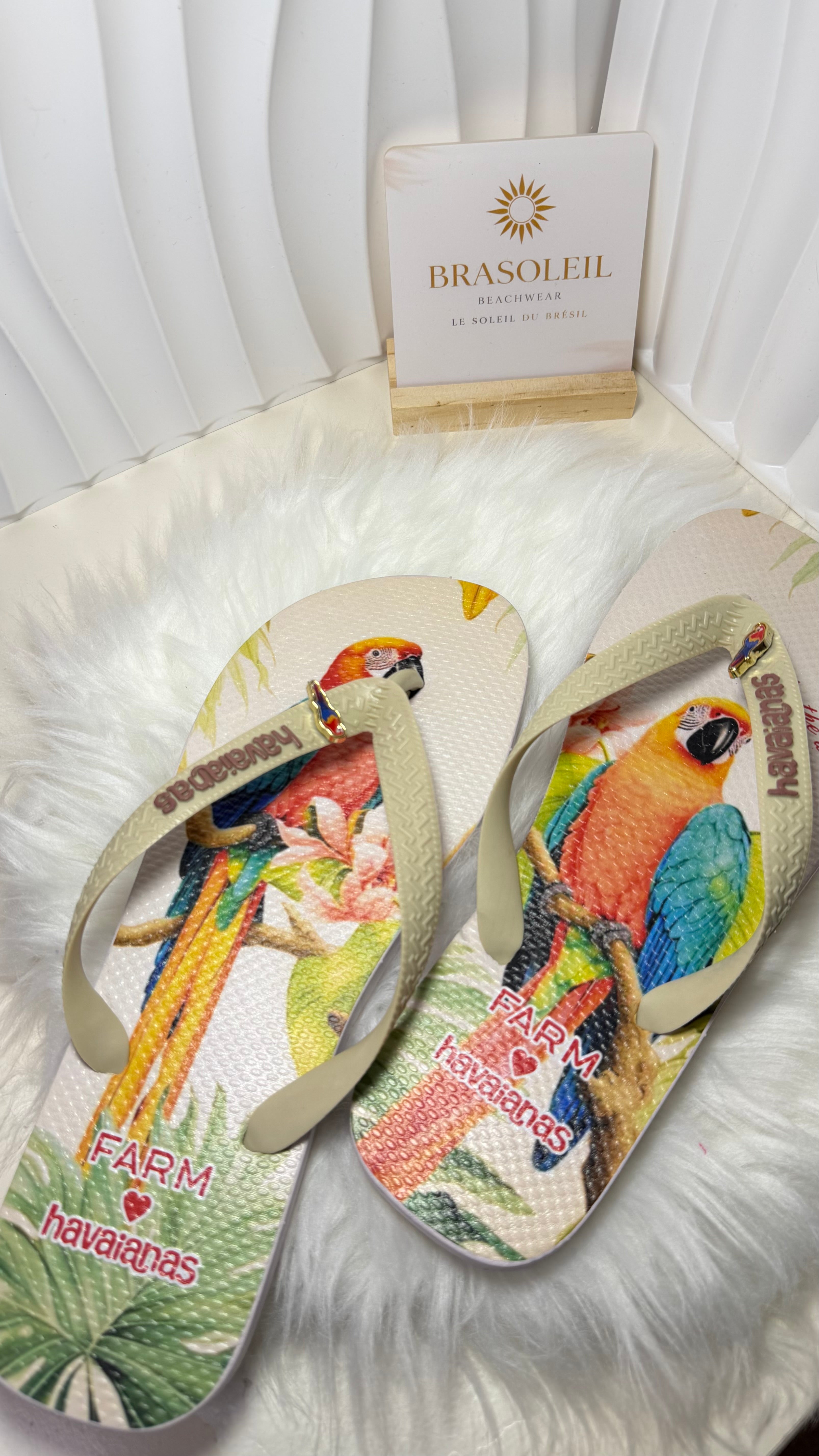 Chinelo tropicale Arara